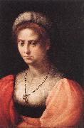 PULIGO, Domenico Portrait of a Lady agf Spain oil painting artist